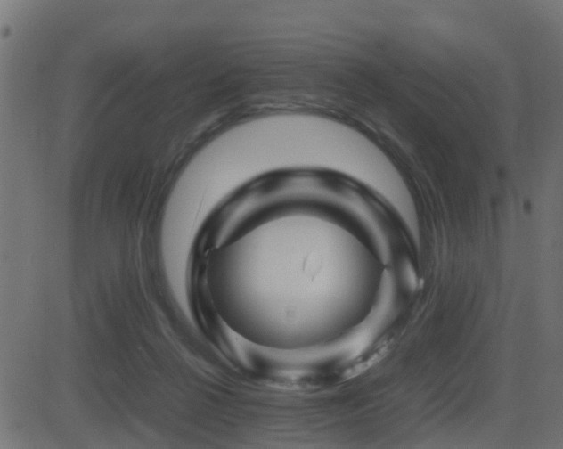 X0000081470264200701121426