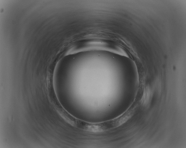X0000081470265200701121426