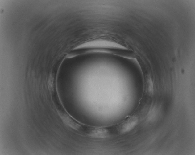 X0000081470274200701121427