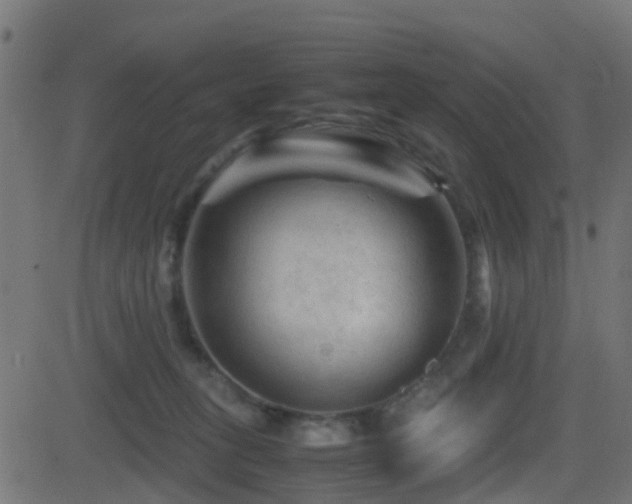 X0000081470275200701121427