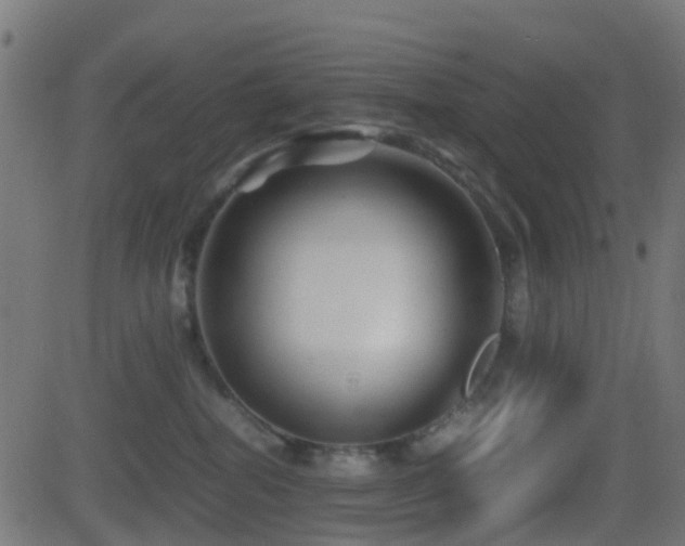 X0000081470282200701121427