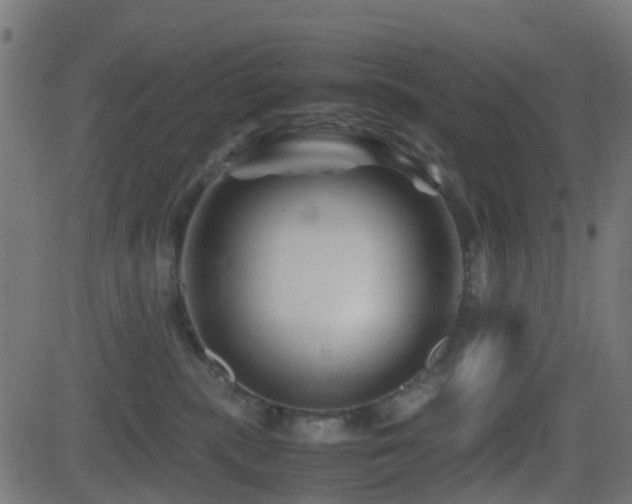 X0000081470283200701121427