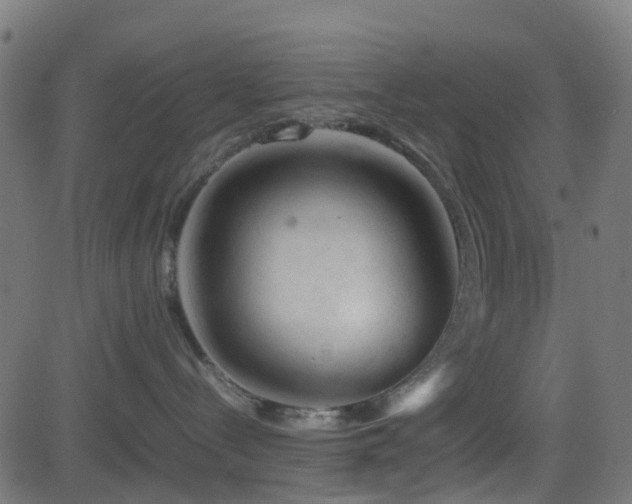 X0000081470288200701121427