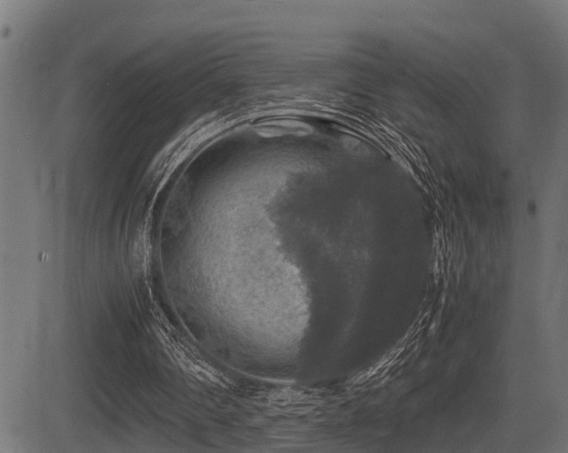 X0000081470290200701121426