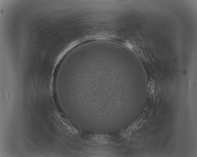 X0000081470292200701121426