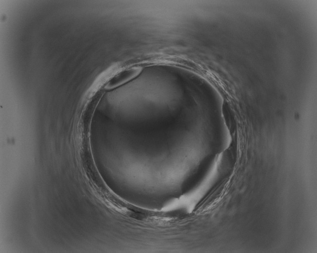 X0000081470295200701121426
