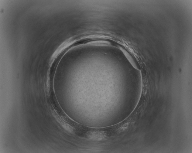 X0000081470296200701121426