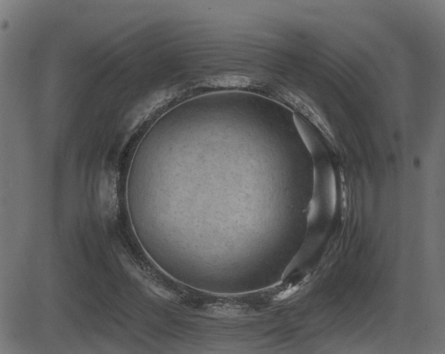 X0000081470300200701121426