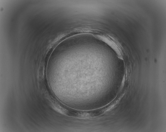 X0000081470301200701121426