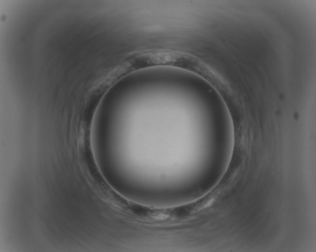 X0000081470315200701121426