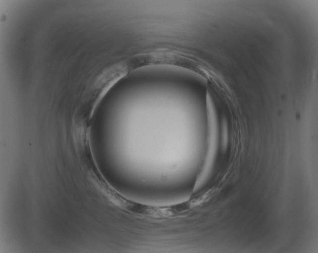 X0000081470333200701121425