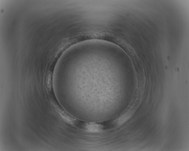 X0000081470336200701121425