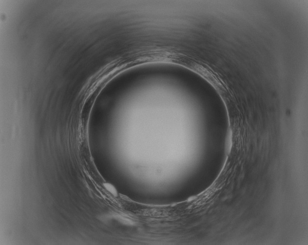 X0000081470338200701121424
