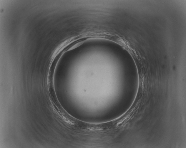 X0000081470340200701121425