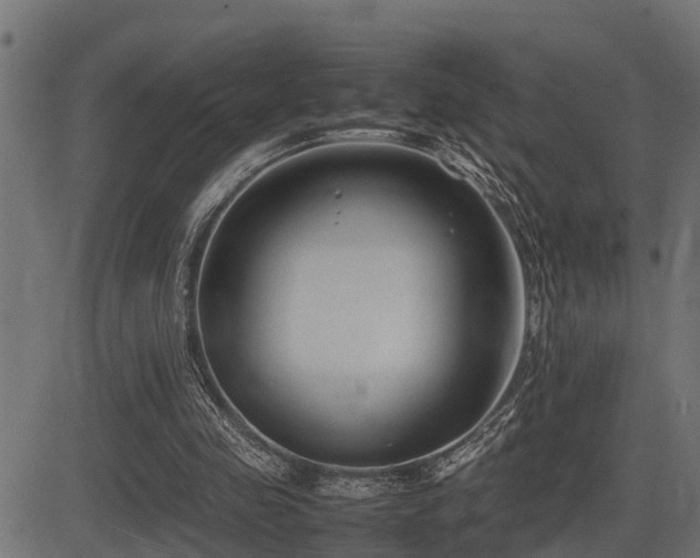 X0000081470341200701121425