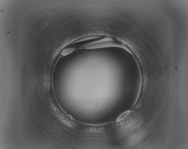 X0000081470345200701121425