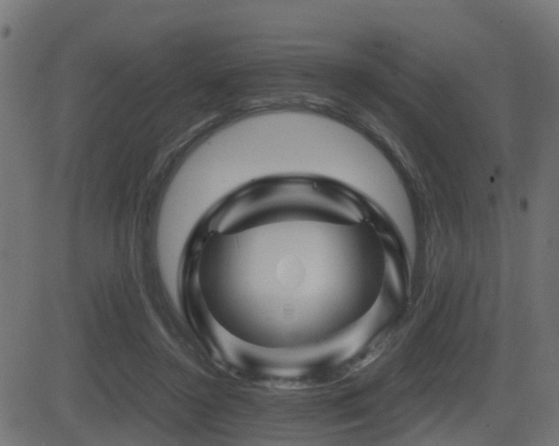 X0000081470356200701121425
