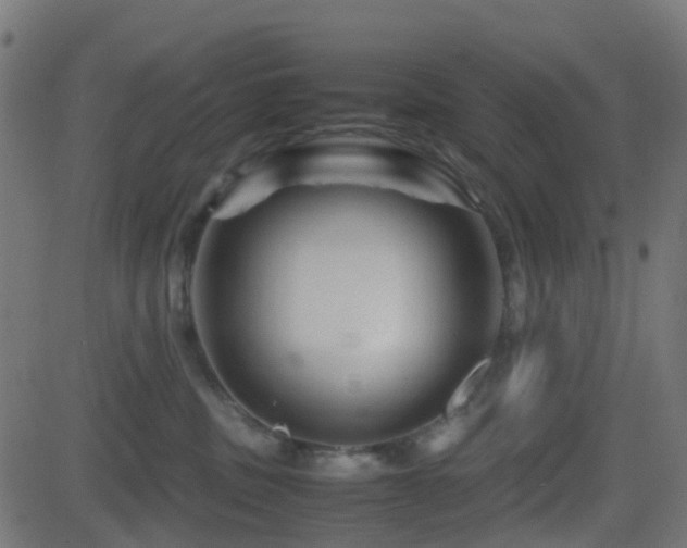 X0000081470379200701121425