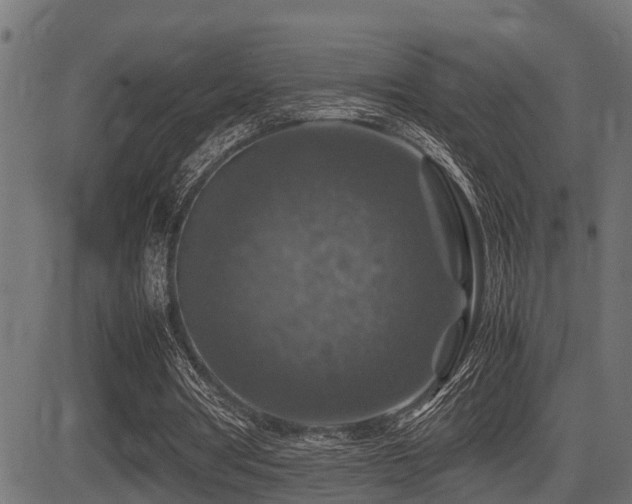 X0000081470386200701121424