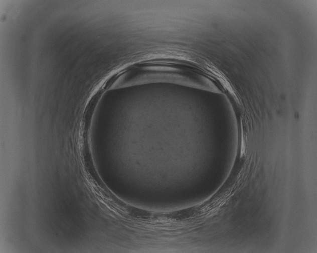 X0000081470387200701121424