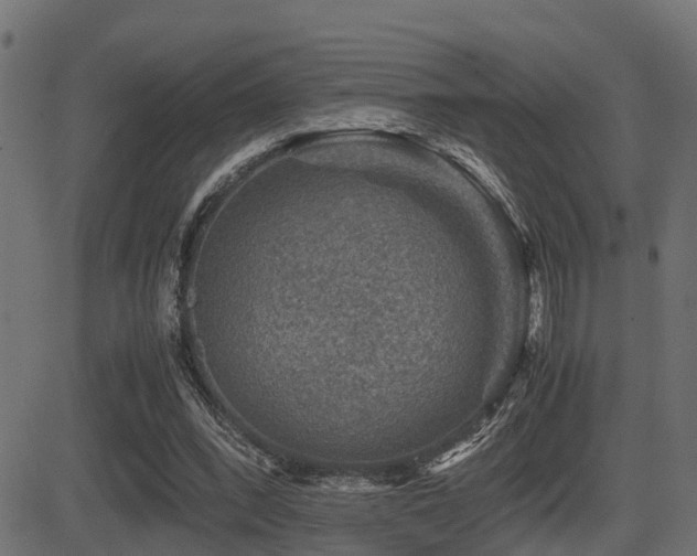 X0000081470392200701121424