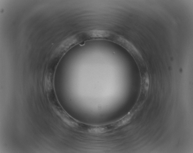 X0000081470422200701121424
