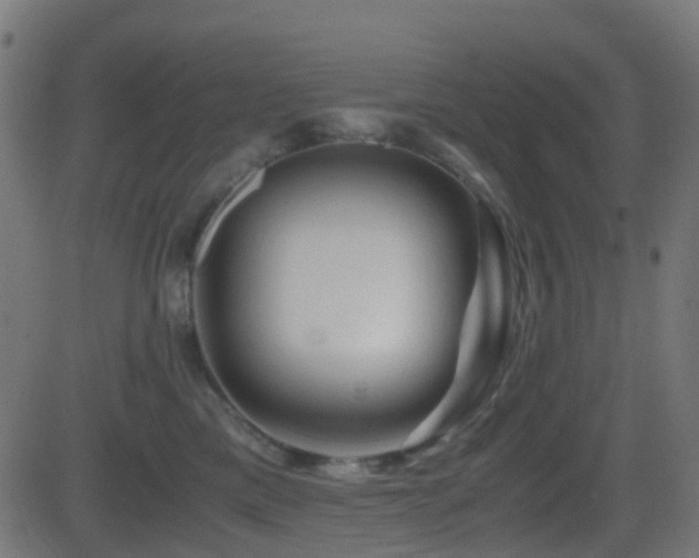 X0000081470425200701121424