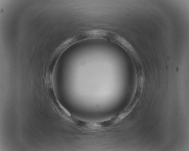 X0000081470429200701121424