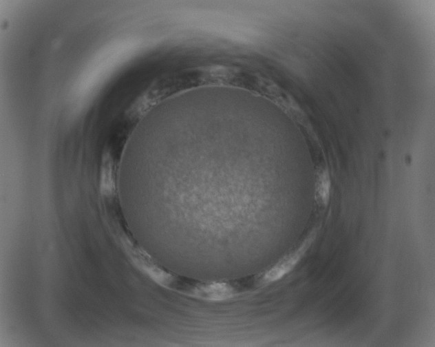 X0000081470431200701121424