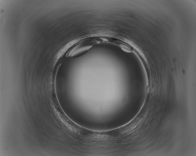 X0000081470437200701121423