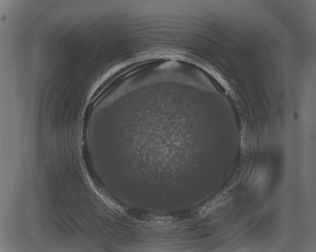 X0000081470438200701121423
