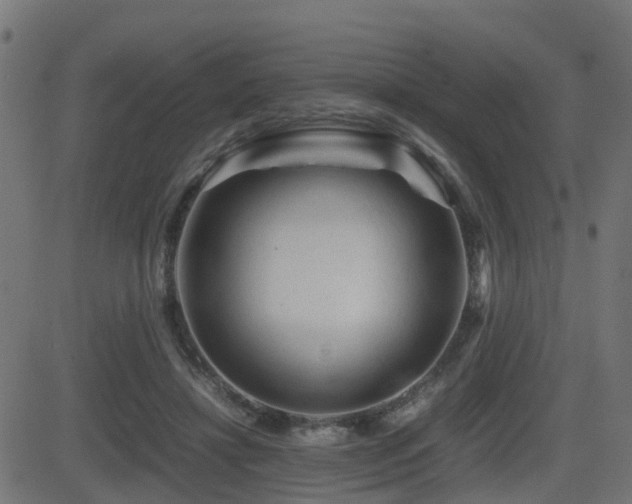 X0000081470452200701121423