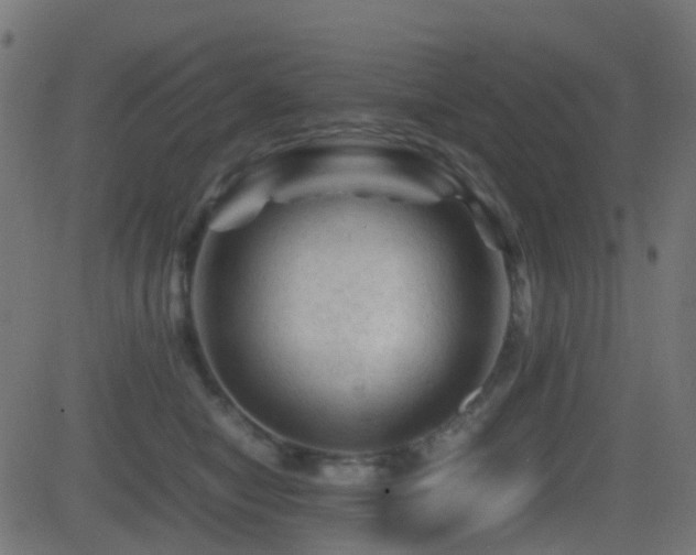 X0000081470470200701121423