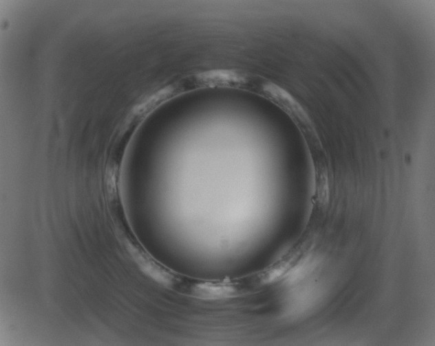 X0000081470477200701121424