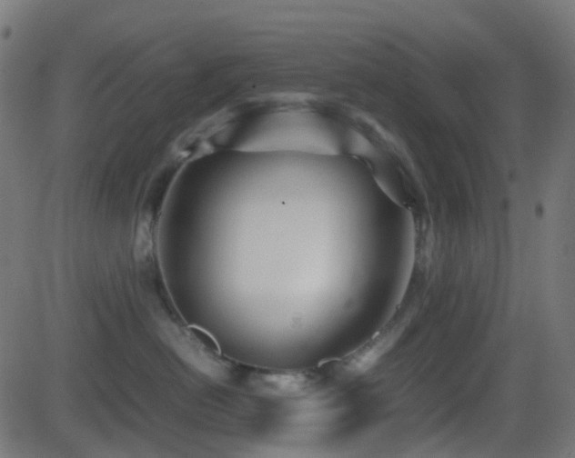 X0000081470478200701121424