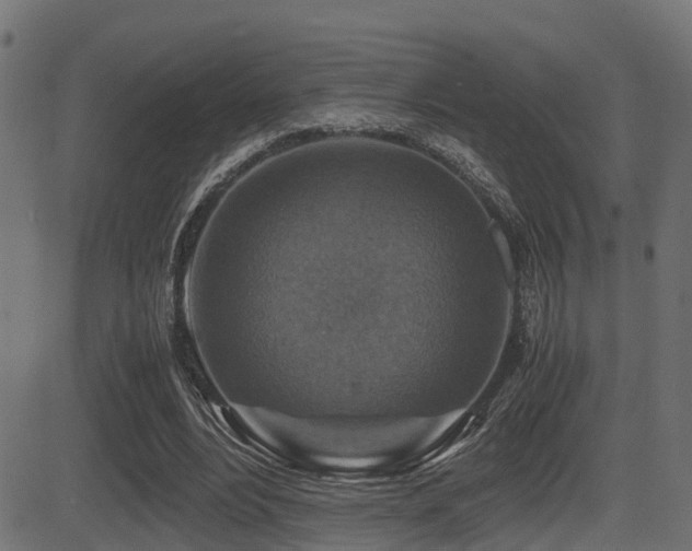 X0000081470488200701121423