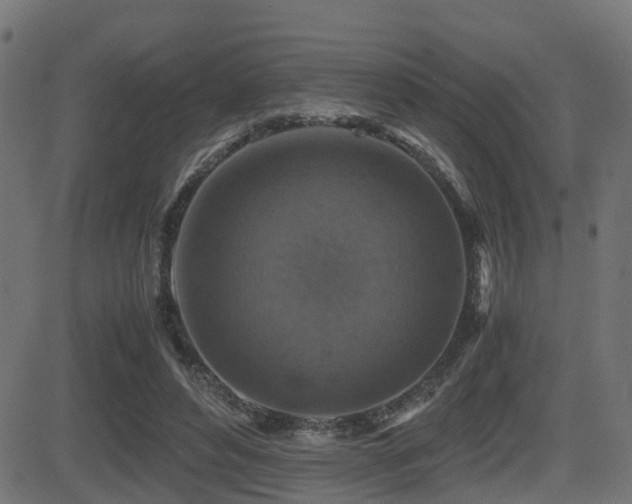 X0000081470496200701121423