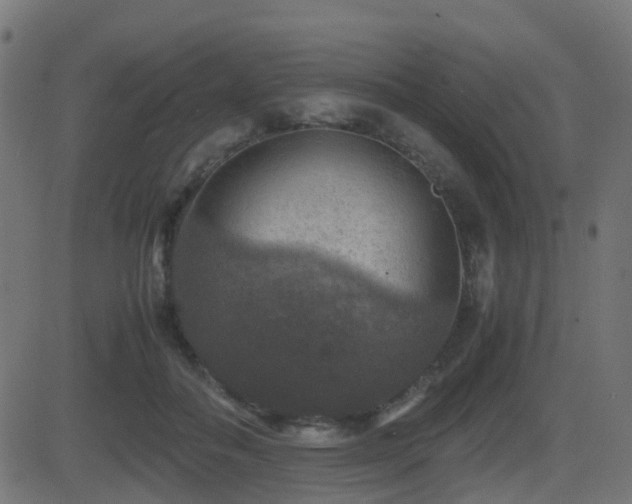 X0000081470506200701121422