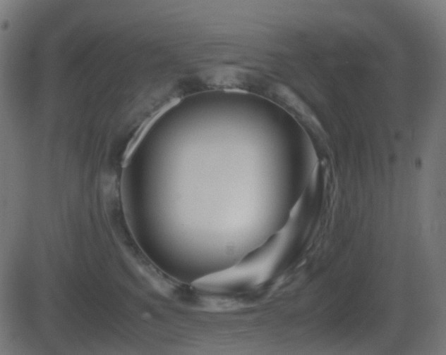X0000081470521200701121422