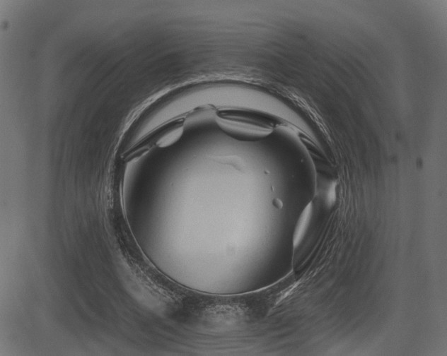 X0000081470536200701121421