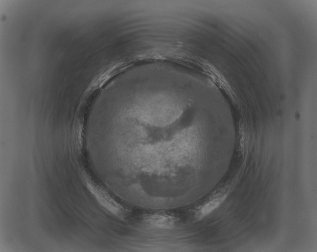X0000081470542200701121422