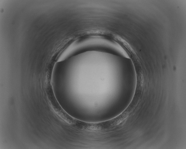 X0000081470546200701121422