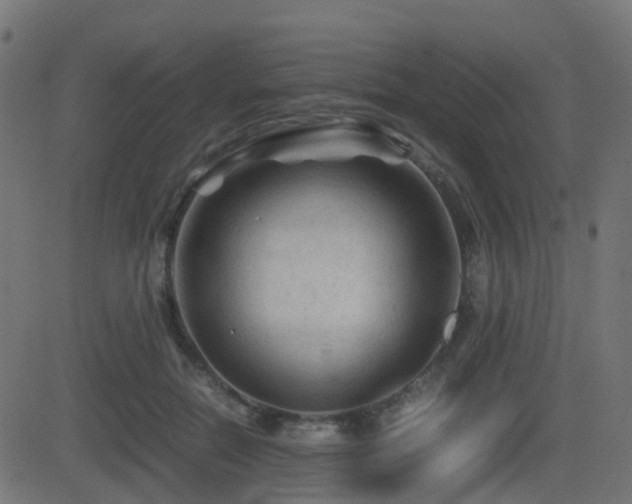X0000081470554200701121422