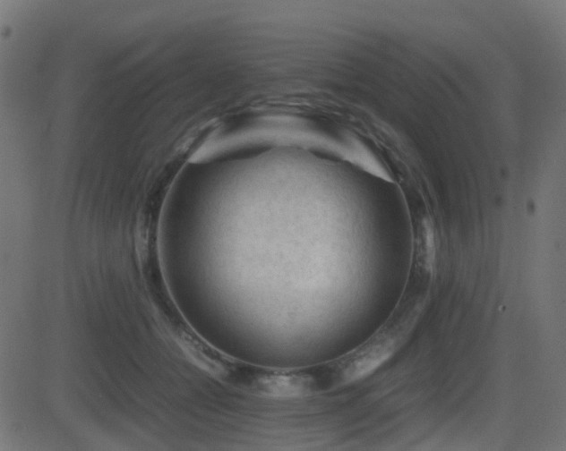 X0000081470558200701121422