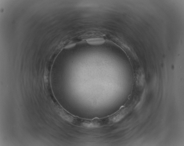 X0000081470561200701121422