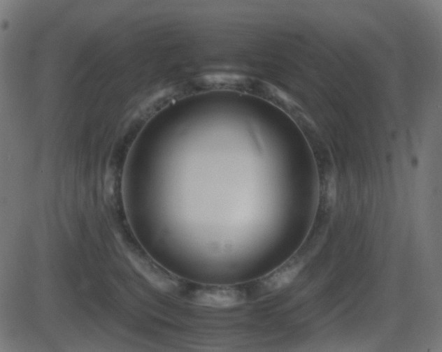 X0000081470567200701121422