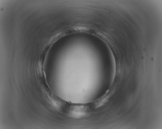 X0000081470575200701121422