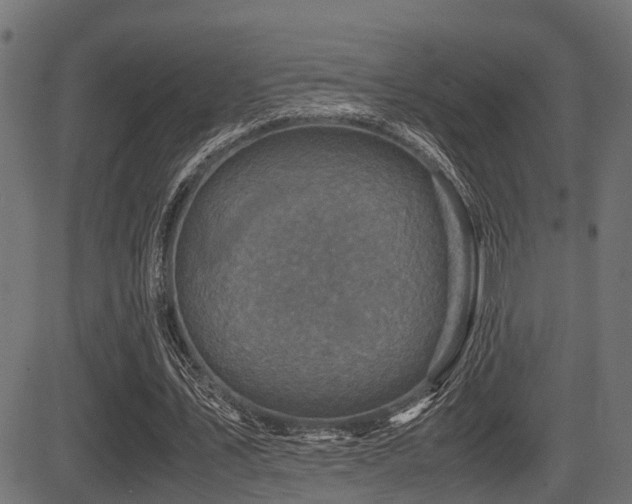 X0000081470579200701121421