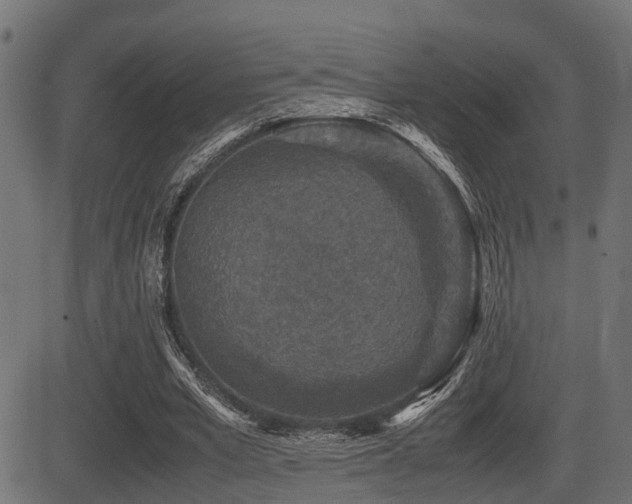 X0000081470581200701121421