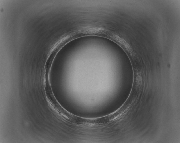 X0000081470582200701121421